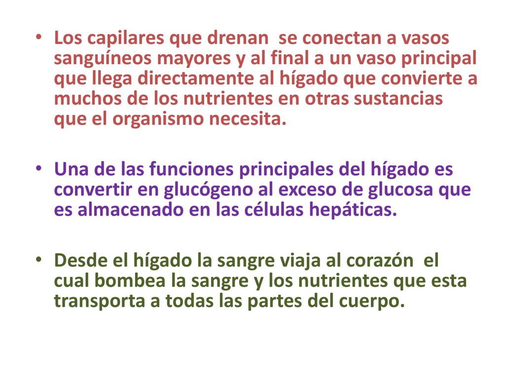 Los capilares que drenan se conectan a vasos sanguíneos mayores y al final a un vaso principal que llega directamente al hígado que convierte a muchos de los nutrientes en otras sustancias que el organismo necesita.