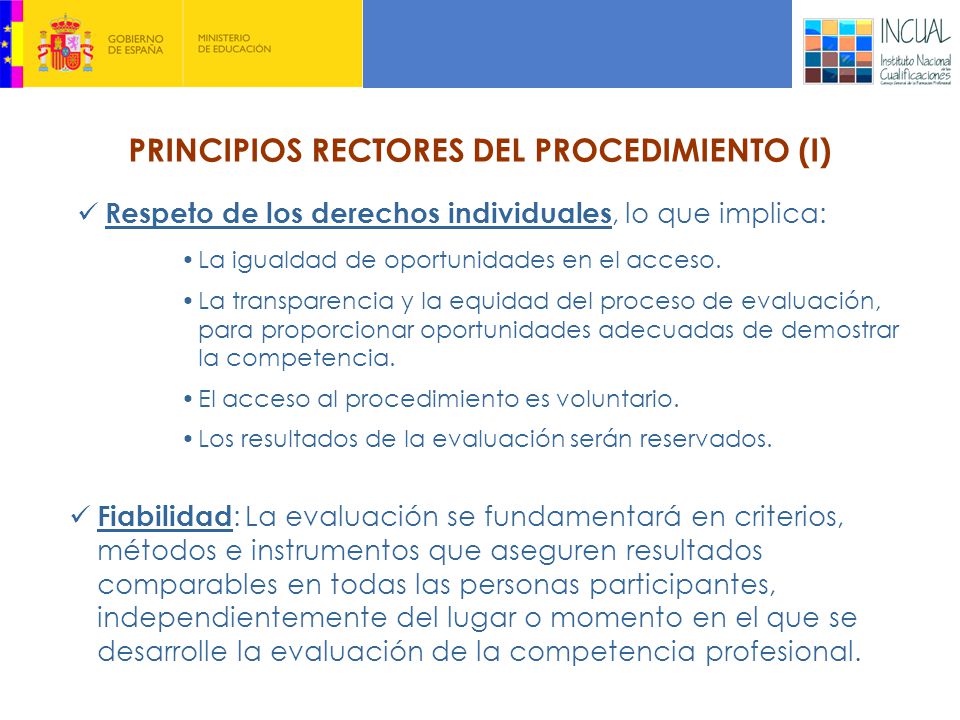 PRINCIPIOS RECTORES DEL PROCEDIMIENTO (I)