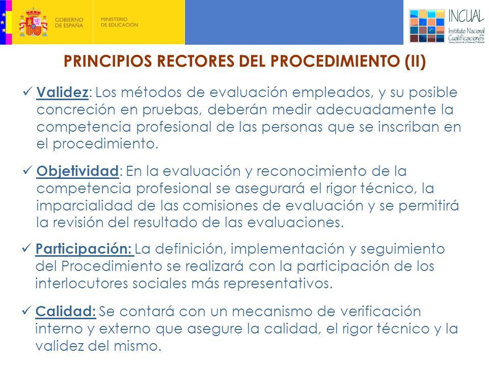 PRINCIPIOS RECTORES DEL PROCEDIMIENTO (II)