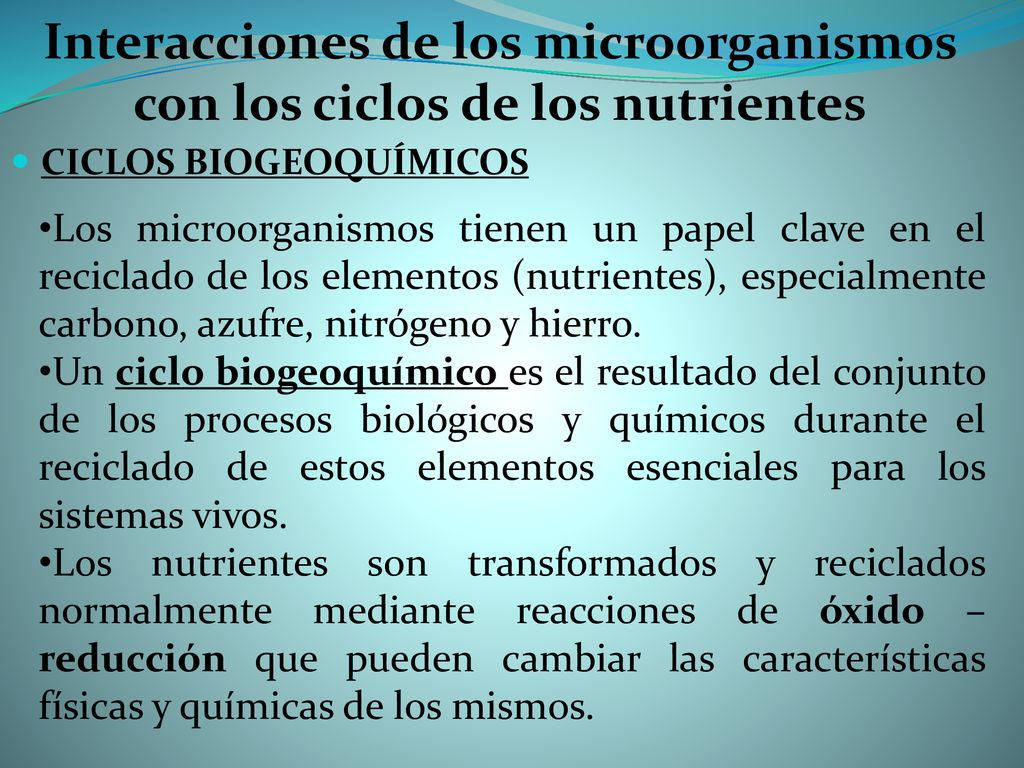 Interacciones de los microorganismos con los ciclos de los nutrientes