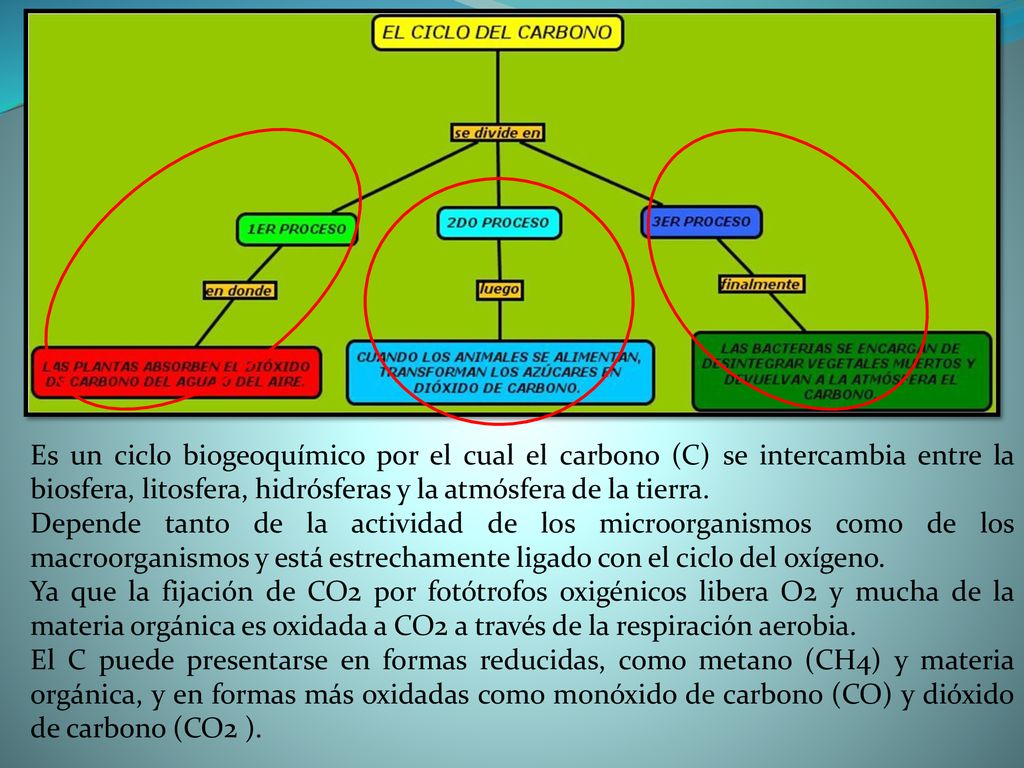 Es un ciclo biogeoquímico por el cual el carbono (C) se intercambia entre la biosfera, litosfera, hidrósferas y la atmósfera de la tierra.