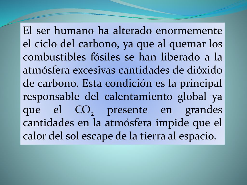El ser humano ha alterado enormemente el ciclo del carbono, ya que al quemar los combustibles fósiles se han liberado a la atmósfera excesivas cantidades de dióxido de carbono.