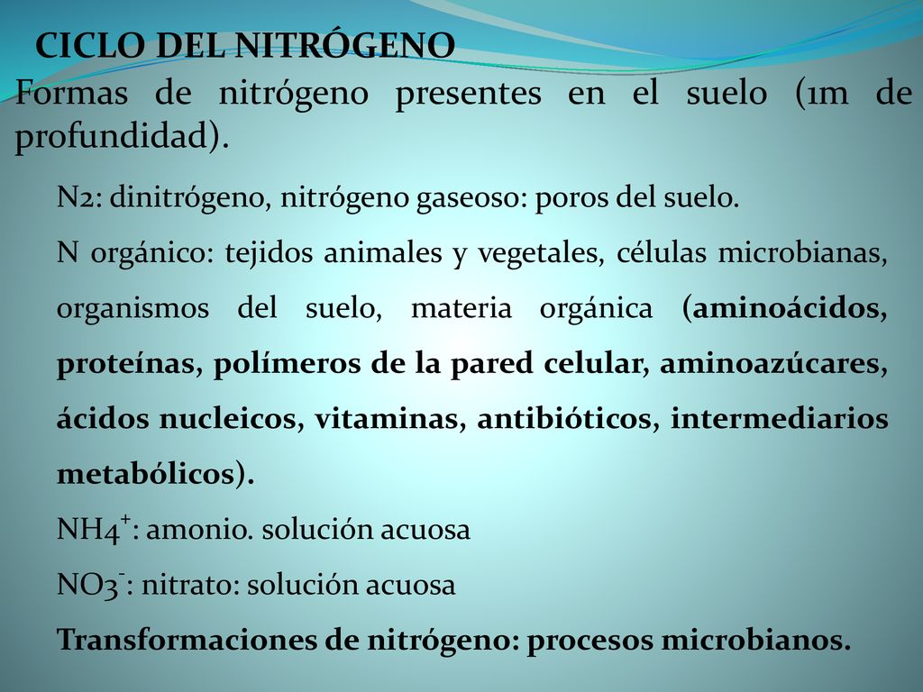 Formas de nitrógeno presentes en el suelo (1m de profundidad).
