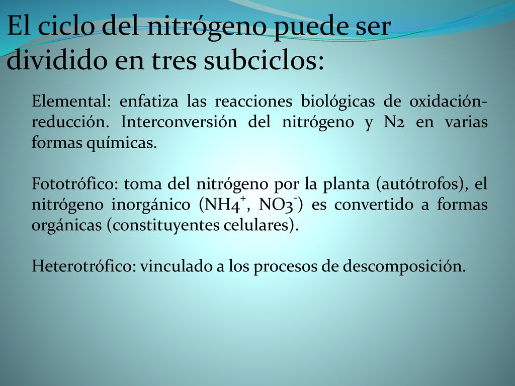 El ciclo del nitrógeno puede ser dividido en tres subciclos: