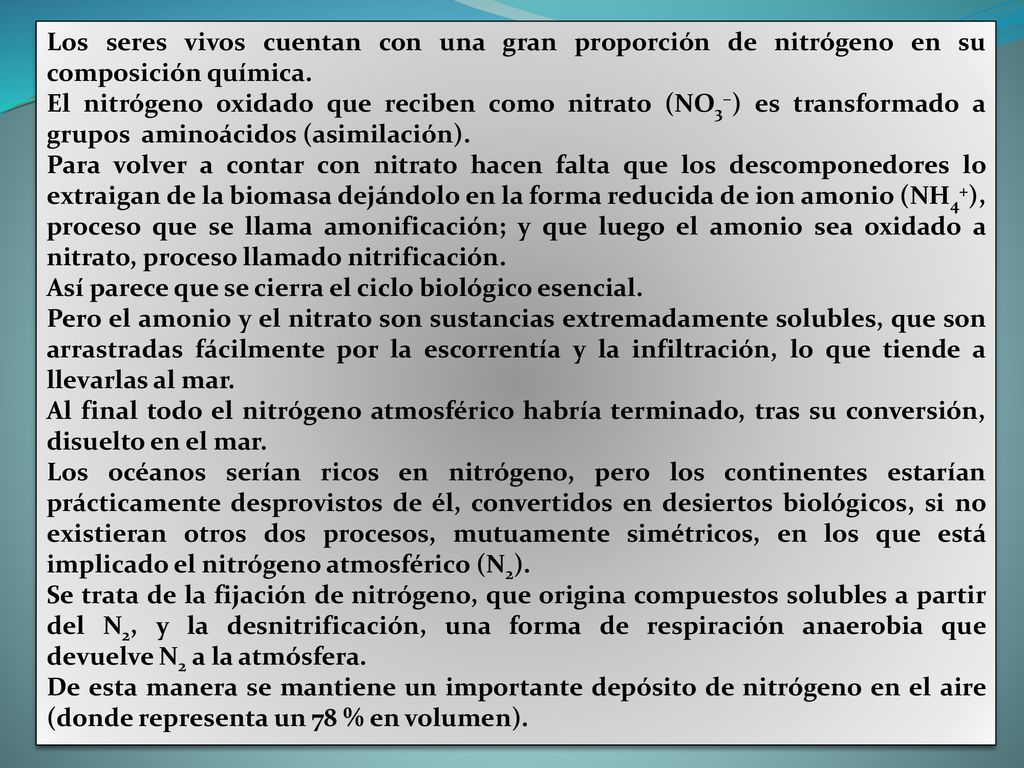 Los seres vivos cuentan con una gran proporción de nitrógeno en su composición química.