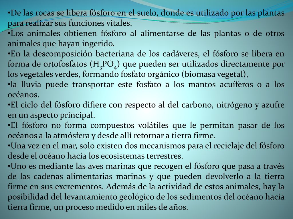 De las rocas se libera fósforo en el suelo, donde es utilizado por las plantas para realizar sus funciones vitales.