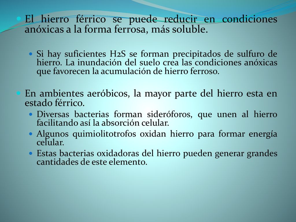 El hierro férrico se puede reducir en condiciones anóxicas a la forma ferrosa, más soluble.