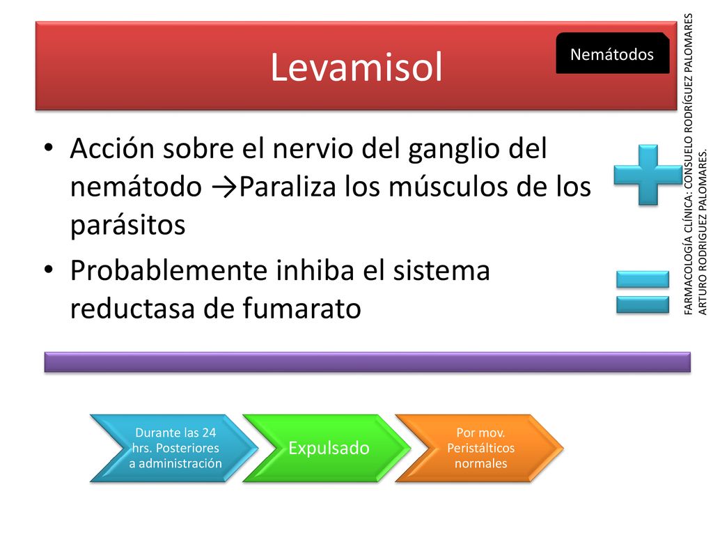 Levamisol Nemátodos. Acción sobre el nervio del ganglio del nemátodo →Paraliza los músculos de los parásitos.