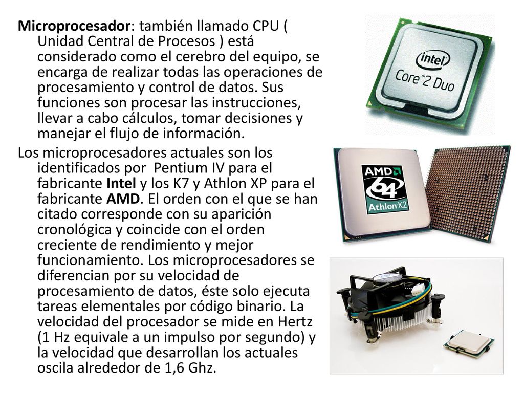 Microprocesador: también llamado CPU ( Unidad Central de Procesos ) está considerado como el cerebro del equipo, se encarga de realizar todas las operaciones de procesamiento y control de datos.