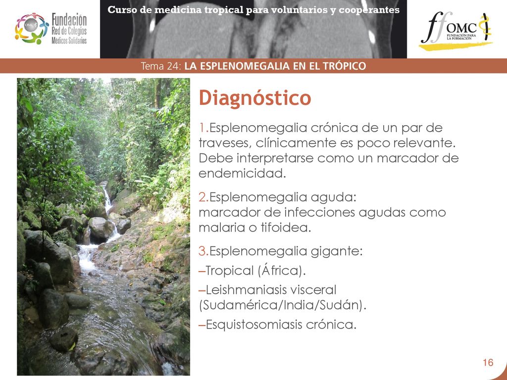 Diagnóstico Esplenomegalia crónica de un par de traveses, clínicamente es poco relevante. Debe interpretarse como un marcador de endemicidad.