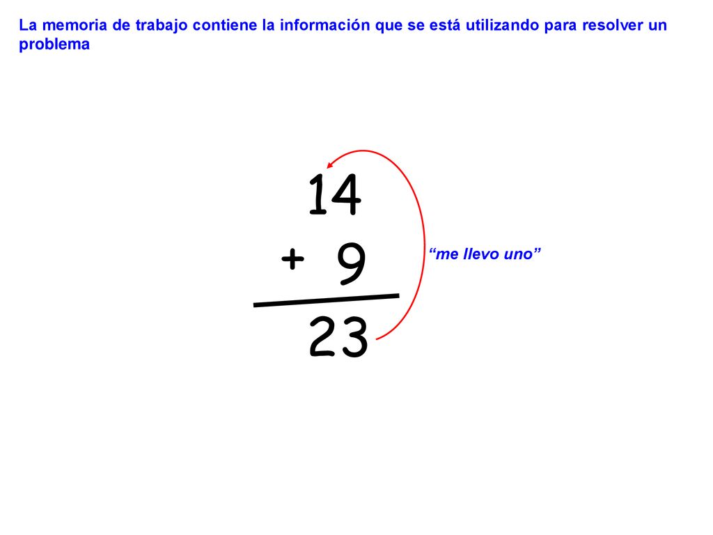 La memoria de trabajo contiene la información que se está utilizando para resolver un problema
