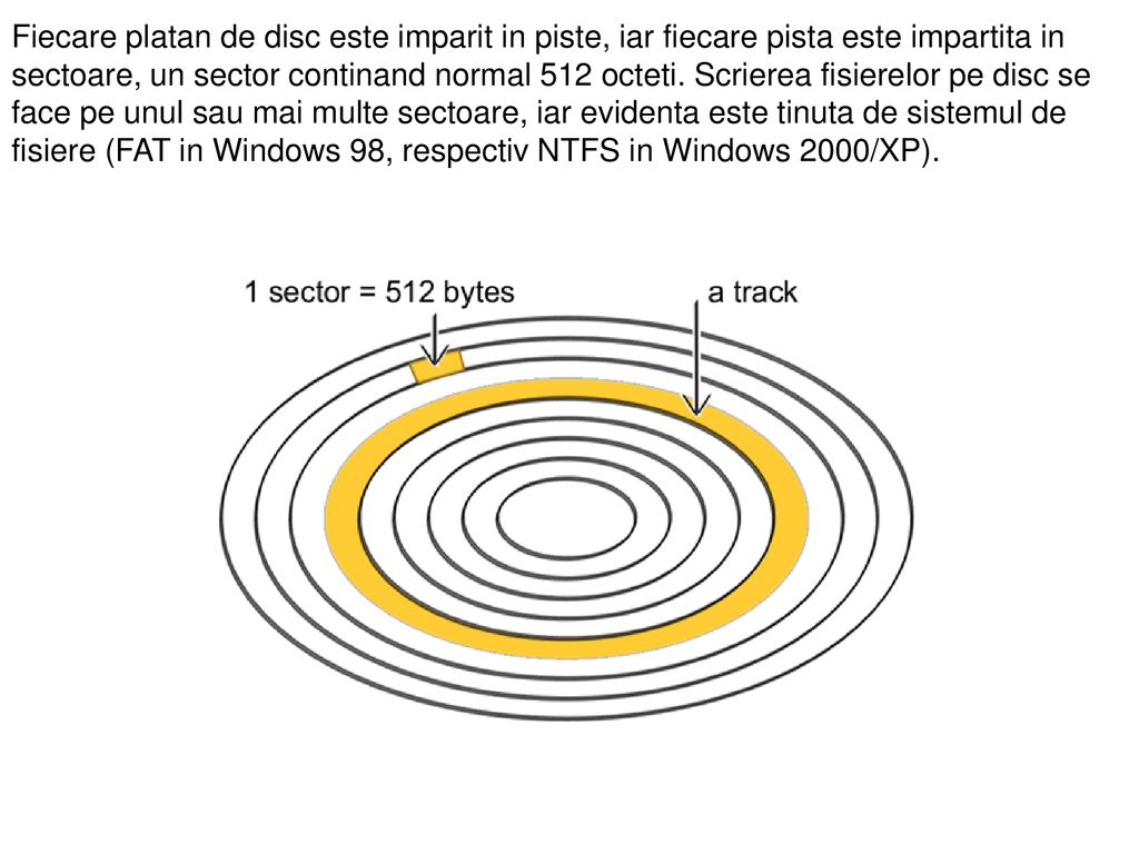 Fiecare platan de disc este imparit in piste, iar fiecare pista este impartita in sectoare, un sector continand normal 512 octeti.