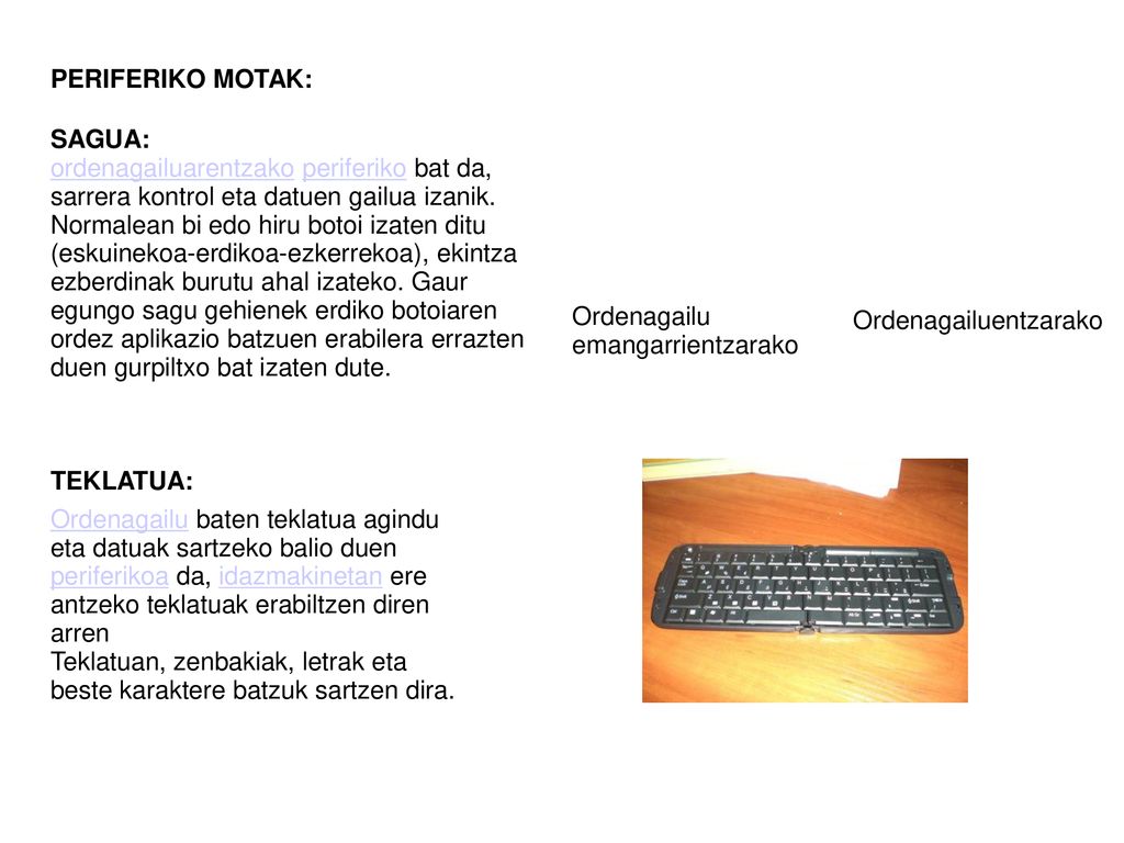 PERIFERIKO MOTAK: SAGUA: ordenagailuarentzako periferiko bat da, sarrera kontrol eta datuen gailua izanik.