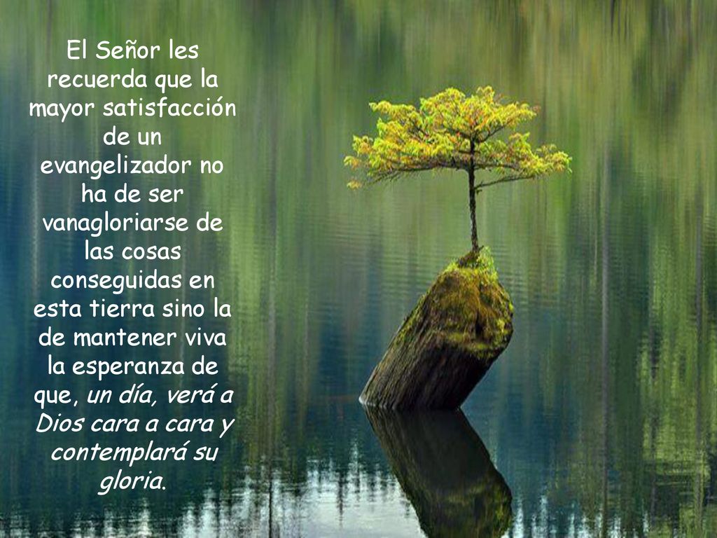 El Señor les recuerda que la mayor satisfacción de un evangelizador no ha de ser vanagloriarse de las cosas conseguidas en esta tierra sino la de mantener viva la esperanza de que, un día, verá a Dios cara a cara y contemplará su gloria.