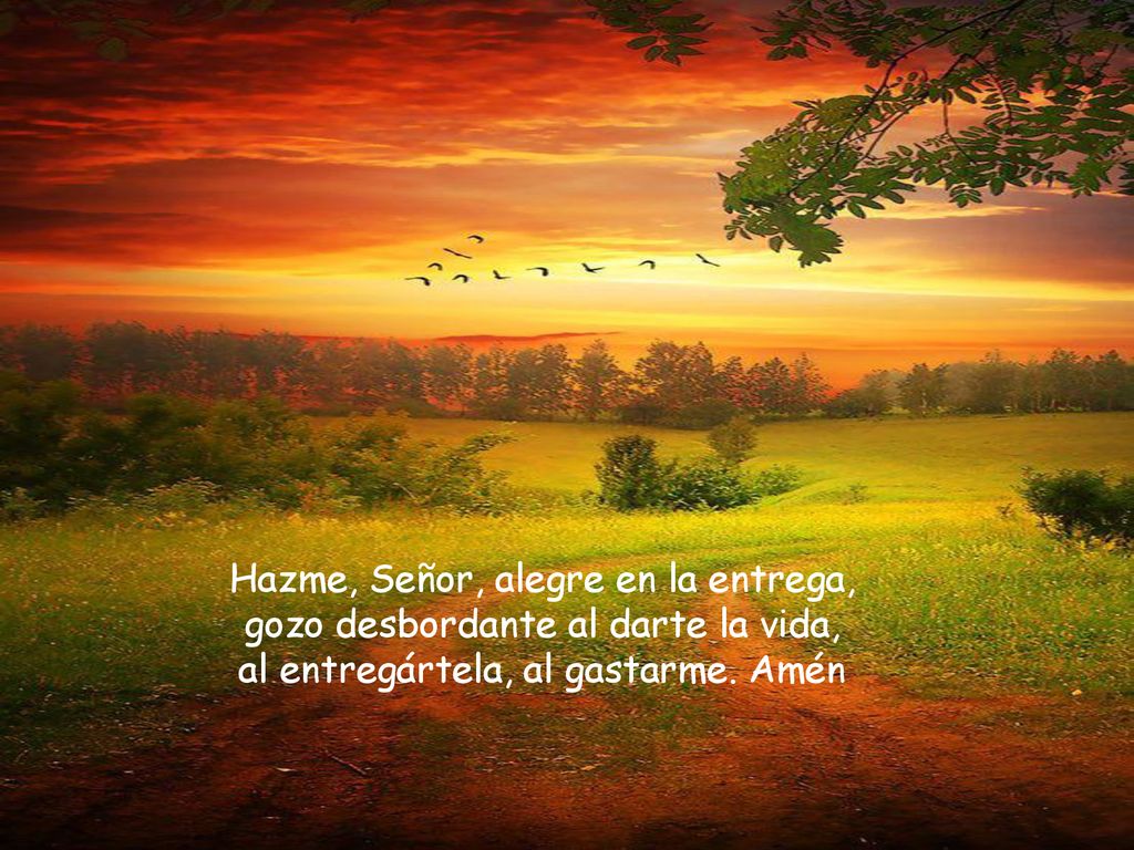 Hazme, Señor, alegre en la entrega, gozo desbordante al darte la vida,