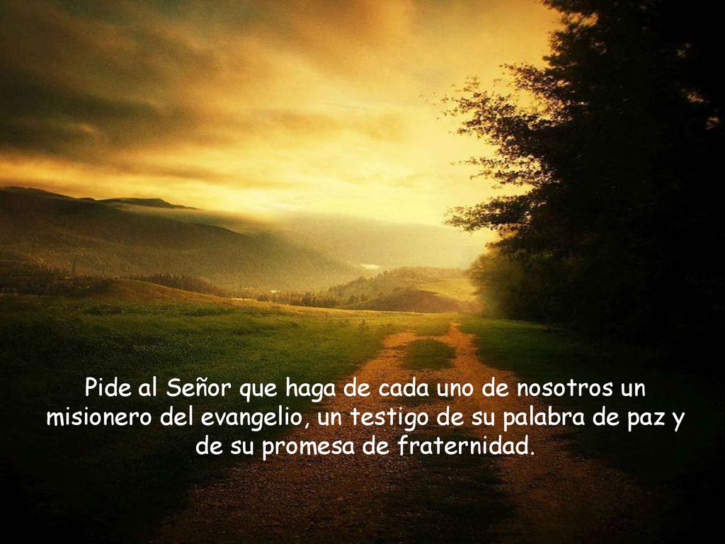 Pide al Señor que haga de cada uno de nosotros un misionero del evangelio, un testigo de su palabra de paz y de su promesa de fraternidad.