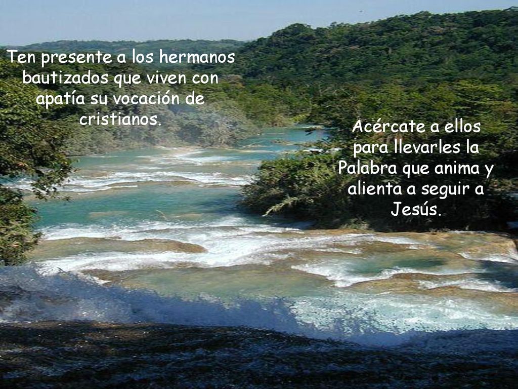 Ten presente a los hermanos bautizados que viven con apatía su vocación de cristianos.