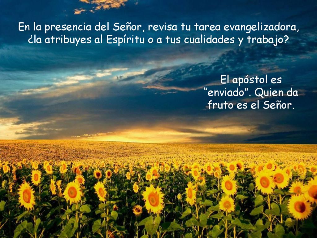 El apóstol es enviado . Quien da fruto es el Señor.
