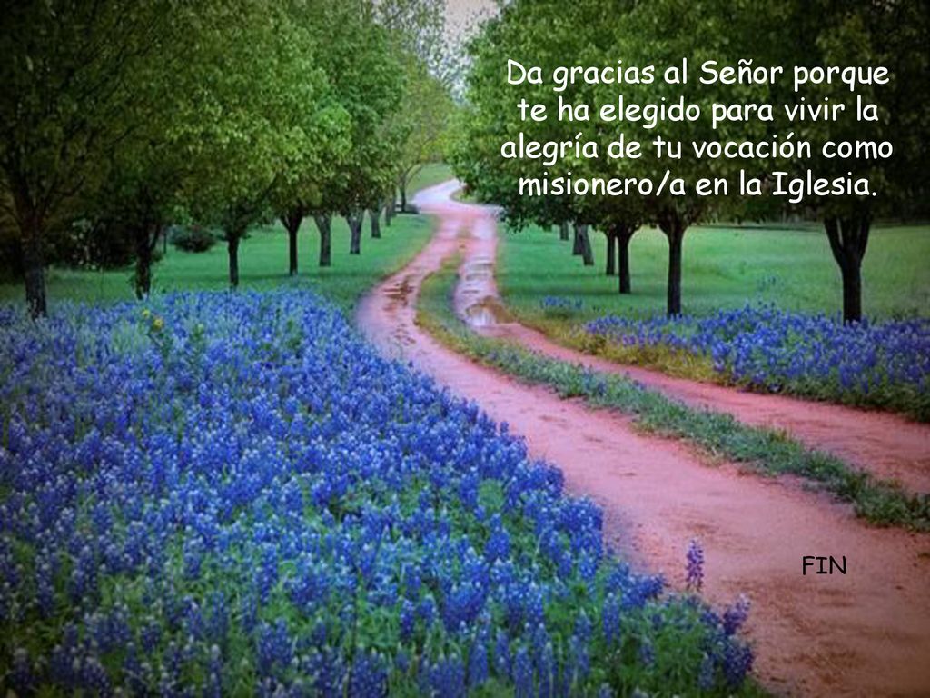 Da gracias al Señor porque te ha elegido para vivir la alegría de tu vocación como misionero/a en la Iglesia.