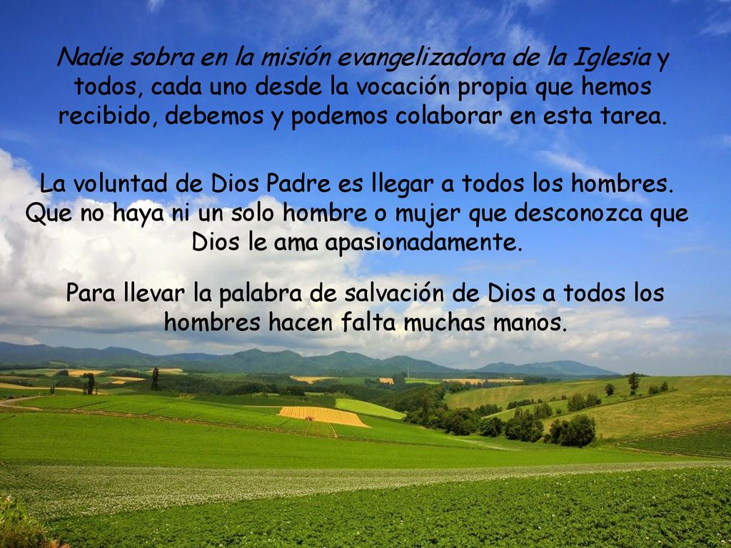 Nadie sobra en la misión evangelizadora de la Iglesia y todos, cada uno desde la vocación propia que hemos recibido, debemos y podemos colaborar en esta tarea.