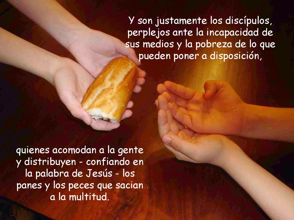 Y son justamente los discípulos, perplejos ante la incapacidad de sus medios y la pobreza de lo que pueden poner a disposición,