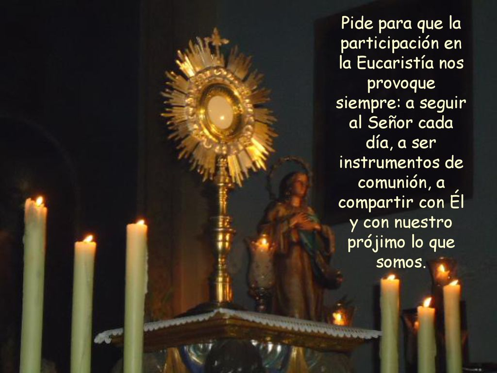 Pide para que la participación en la Eucaristía nos provoque siempre: a seguir al Señor cada día, a ser instrumentos de comunión, a compartir con Él y con nuestro prójimo lo que somos.