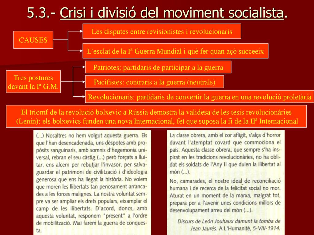 5.3.- Crisi i divisió del moviment socialista.