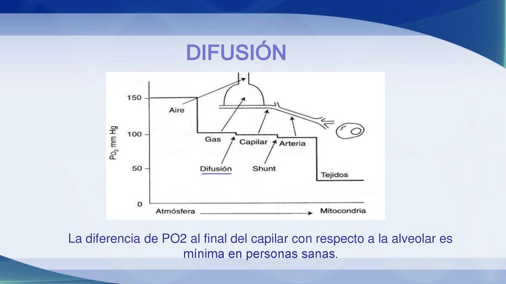 DIFUSIÓN La diferencia de PO2 al final del capilar con respecto a la alveolar es mínima en personas sanas.