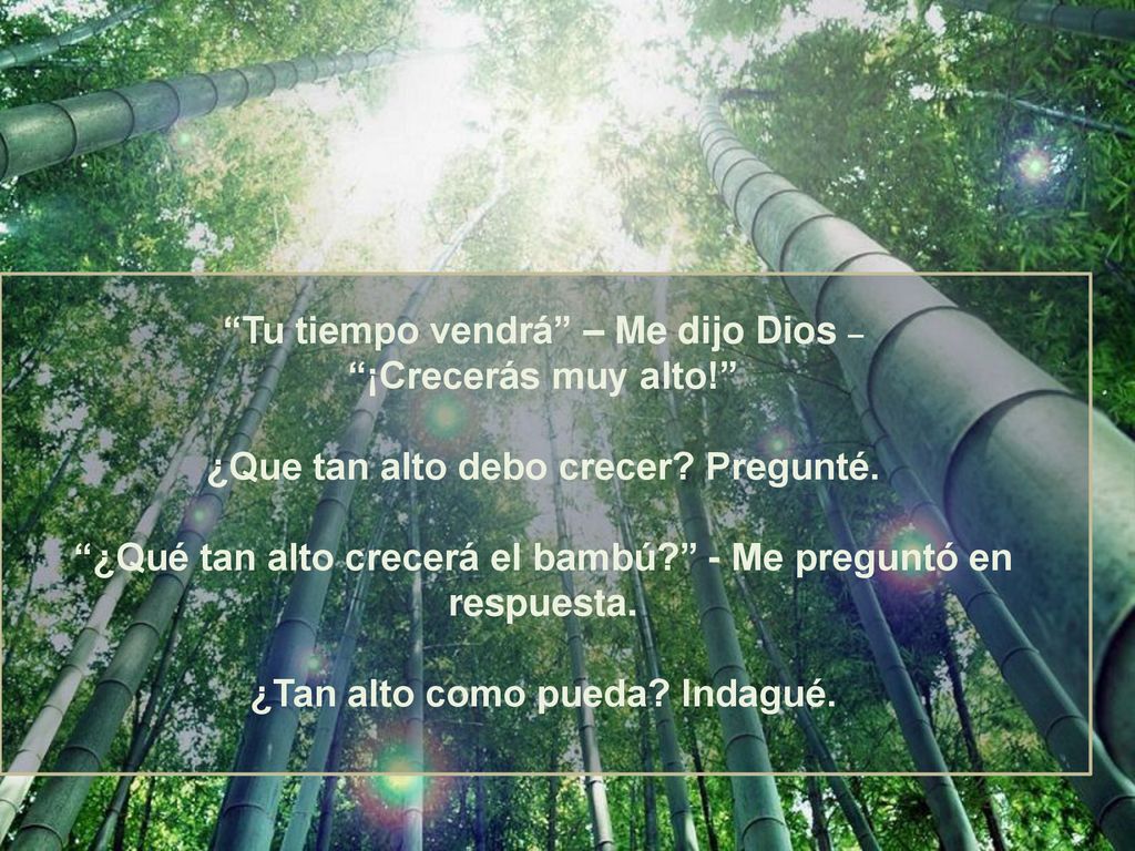 Tu tiempo vendrá – Me dijo Dios – ¡Crecerás muy alto!