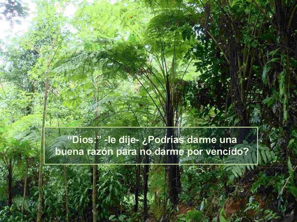 Dios: -le dije- ¿Podrías darme una buena razón para no darme por vencido