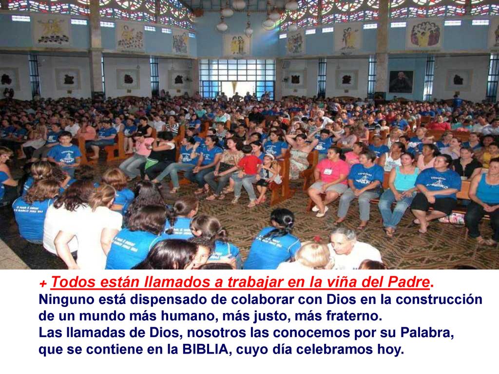 + Todos están llamados a trabajar en la viña del Padre.