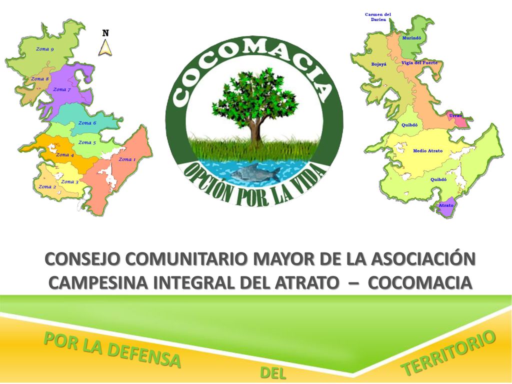 Consejo Comunitario Mayor de la Asociación Campesina Integral del Atrato – COCOMACIA