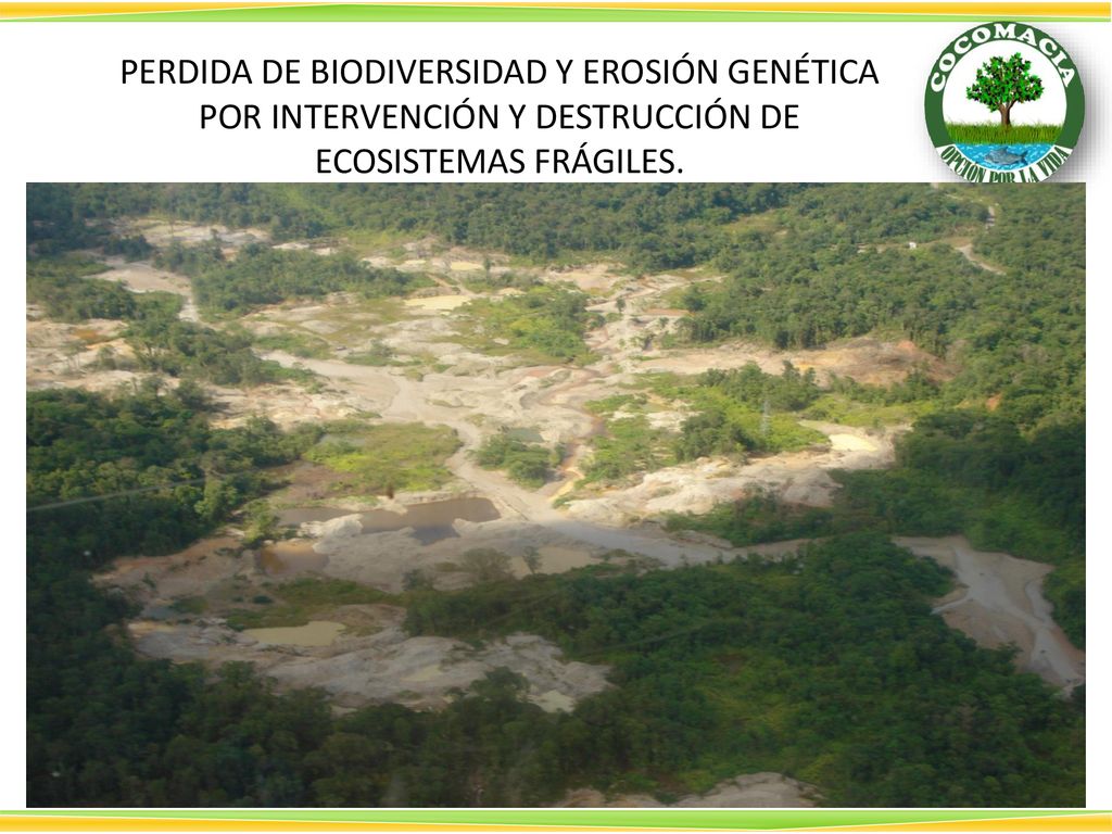 PERDIDA DE BIODIVERSIDAD Y EROSIÓN GENÉTICA POR INTERVENCIÓN Y DESTRUCCIÓN DE ECOSISTEMAS FRÁGILES.