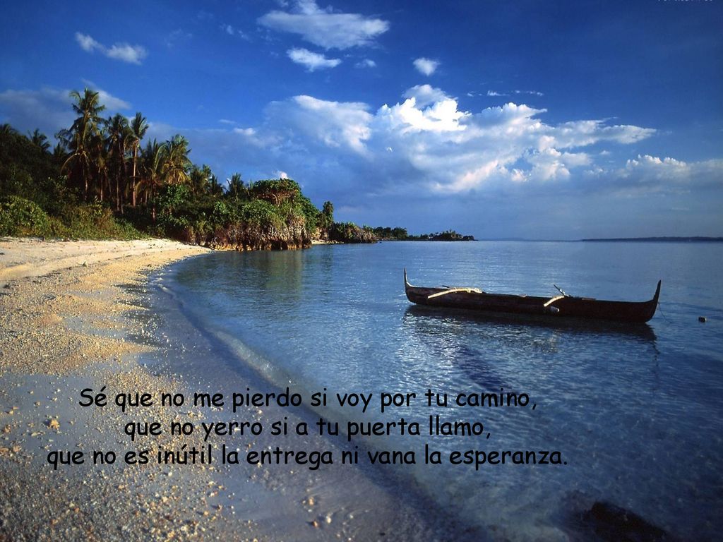 Sé que no me pierdo si voy por tu camino,