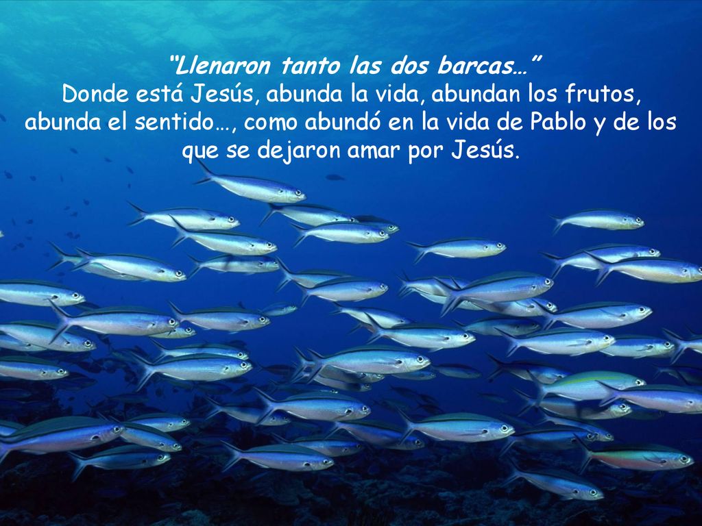 Llenaron tanto las dos barcas… Donde está Jesús, abunda la vida, abundan los frutos, abunda el sentido…, como abundó en la vida de Pablo y de los que se dejaron amar por Jesús.