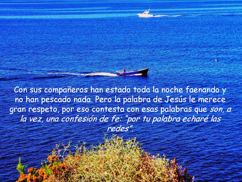 Con sus compañeros han estado toda la noche faenando y no han pescado nada.