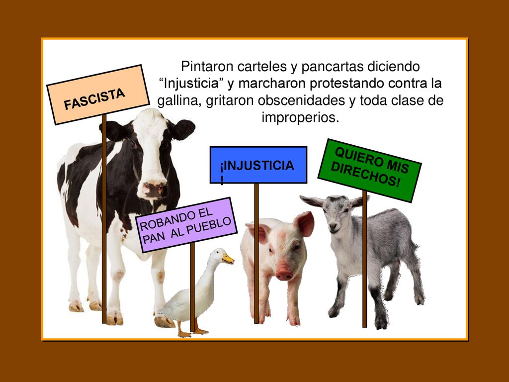 Pintaron carteles y pancartas diciendo Injusticia y marcharon protestando contra la gallina, gritaron obscenidades y toda clase de improperios.
