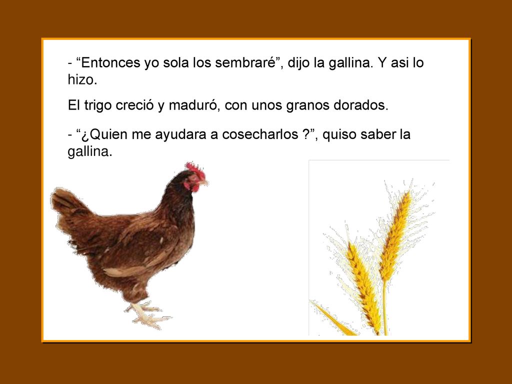 - Entonces yo sola los sembraré , dijo la gallina. Y asi lo hizo.