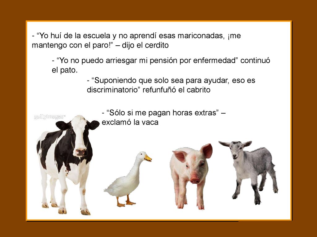 - Yo huí de la escuela y no aprendí esas mariconadas, ¡me mantengo con el paro! – dijo el cerdito