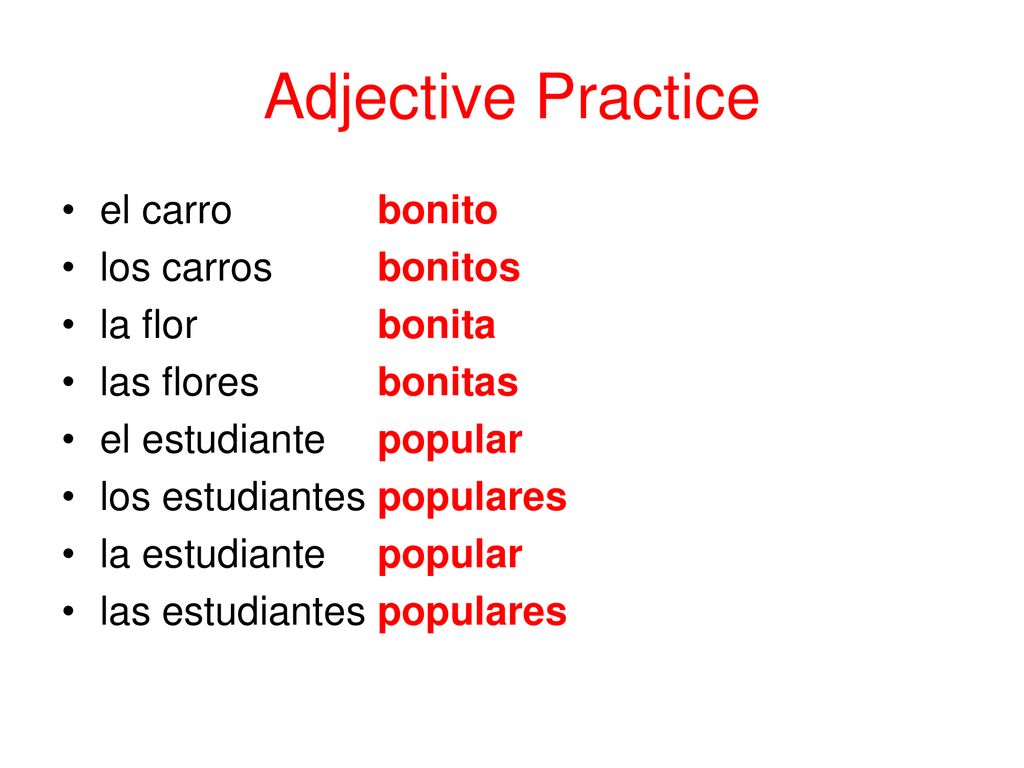 Adjective Practice el carro los carros la flor las flores