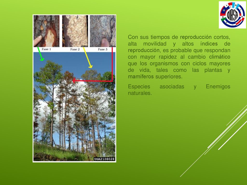 Con sus tiempos de reproducción cortos, alta movilidad y altos índices de reproducción, es probable que respondan con mayor rapidez al cambio climático que los organismos con ciclos mayores de vida, tales como las plantas y mamíferos superiores.
