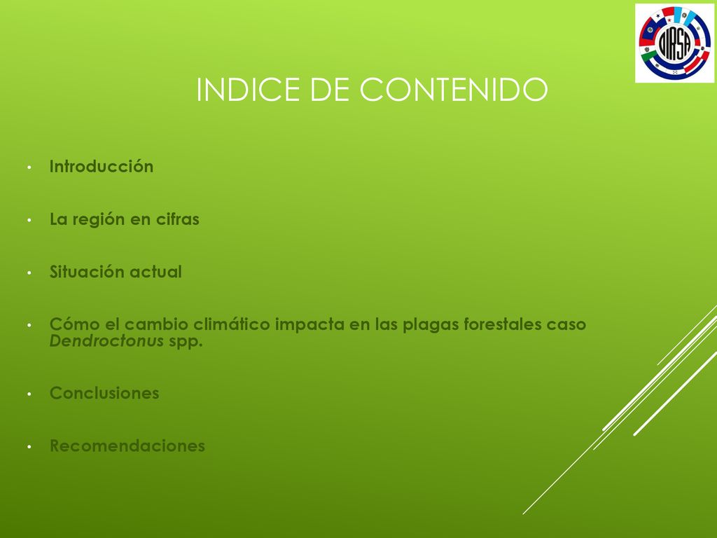 INDICE DE CONTENIDO Introducción La región en cifras Situación actual