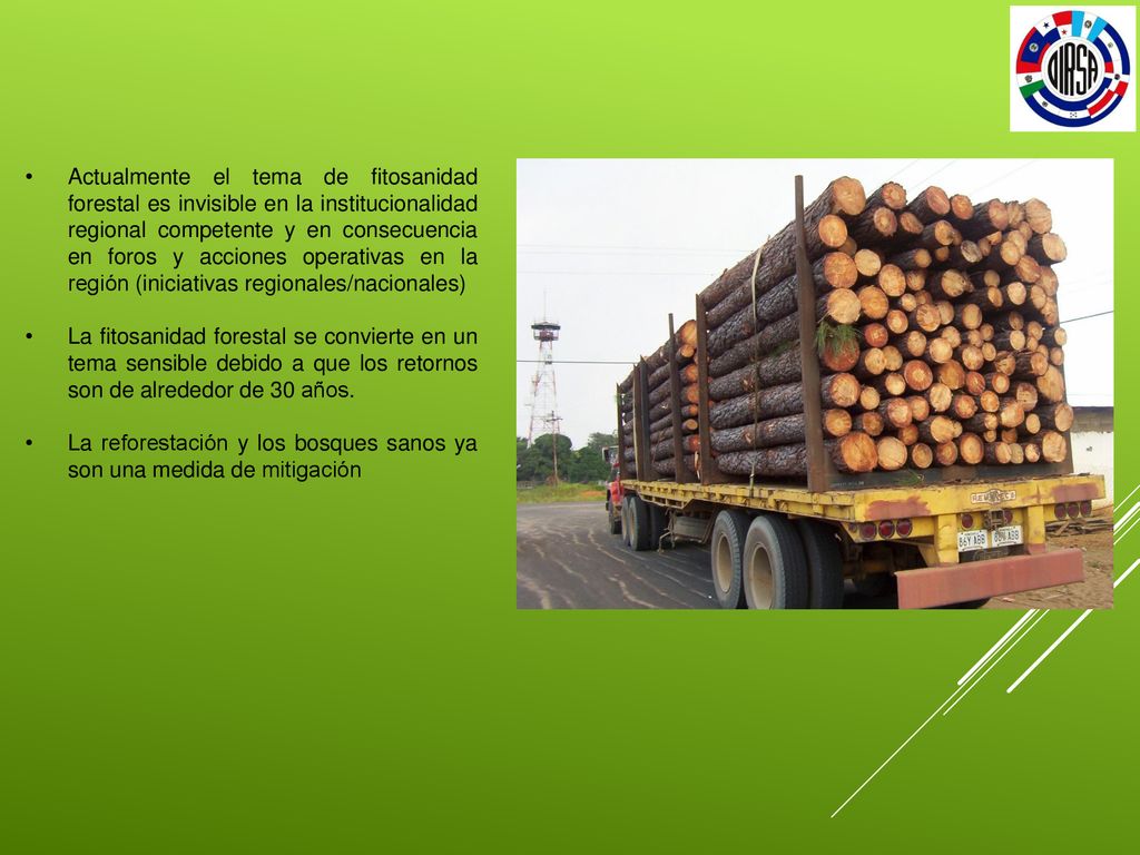 Actualmente el tema de fitosanidad forestal es invisible en la institucionalidad regional competente y en consecuencia en foros y acciones operativas en la región (iniciativas regionales/nacionales)