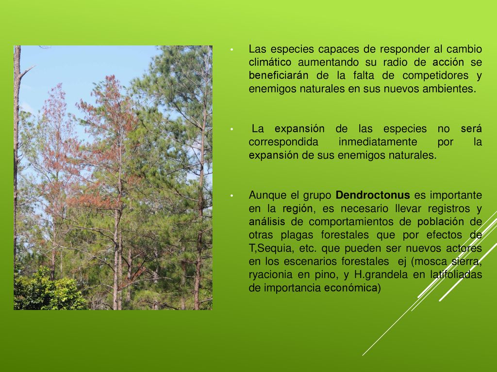 Las especies capaces de responder al cambio climático aumentando su radio de acción se beneficiarán de la falta de competidores y enemigos naturales en sus nuevos ambientes.