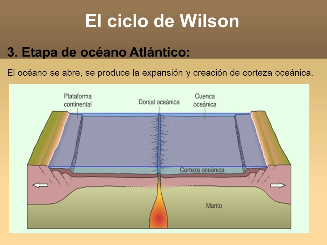 El ciclo de Wilson 3. Etapa de océano Atlántico: