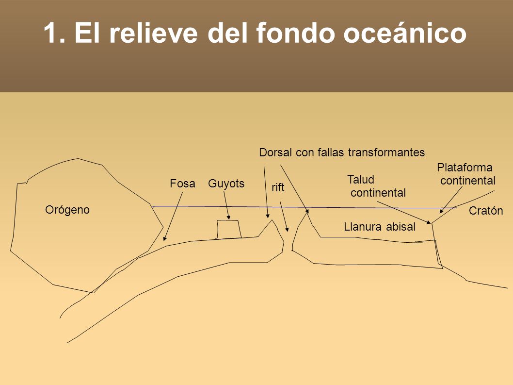 1. El relieve del fondo oceánico