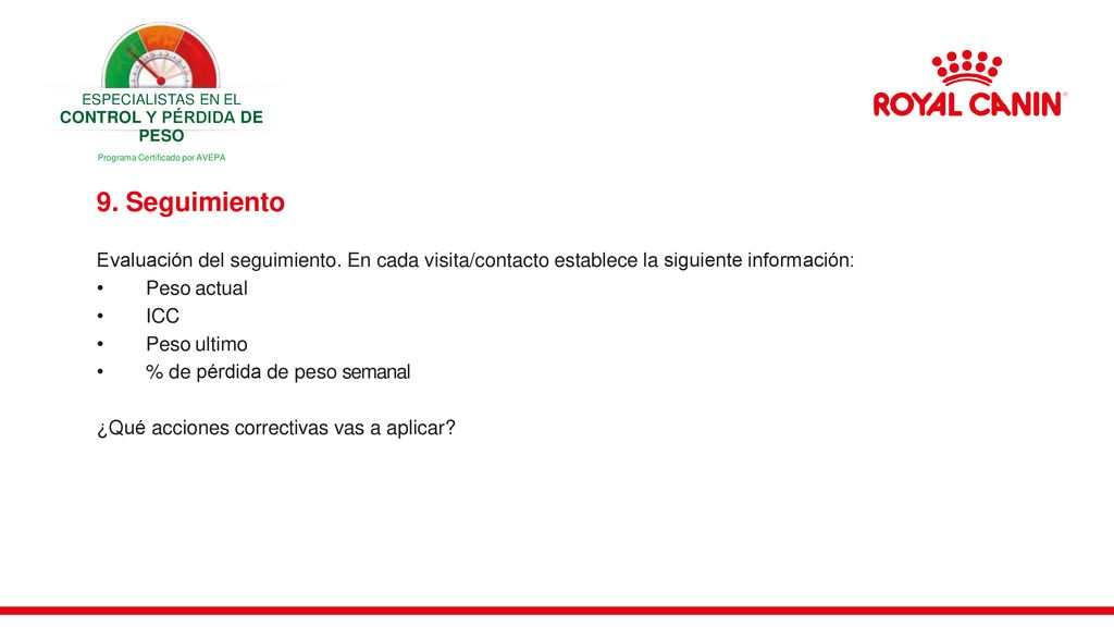 ESPECIALISTAS EN EL CONTROL Y PÉRDIDA DE PESO. Programa Certificado por AVEPA. 9. Seguimiento.