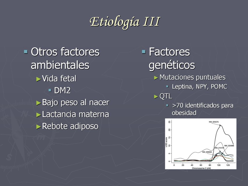 Etiología III Otros factores ambientales Factores genéticos Vida fetal