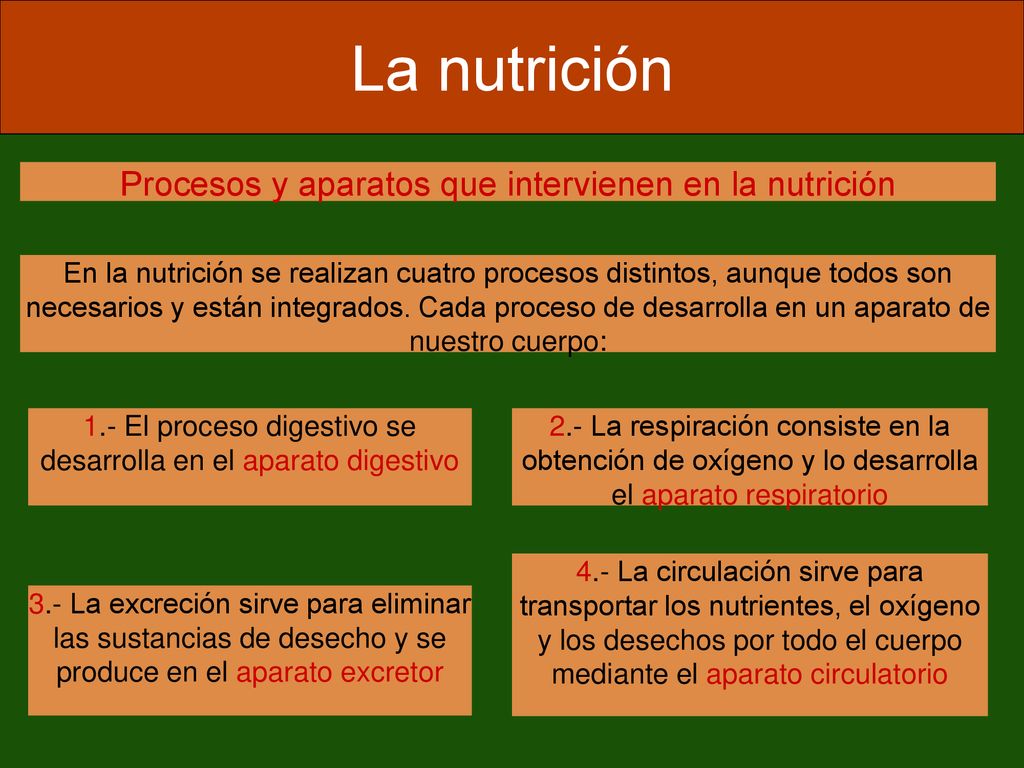 La nutrición Procesos y aparatos que intervienen en la nutrición