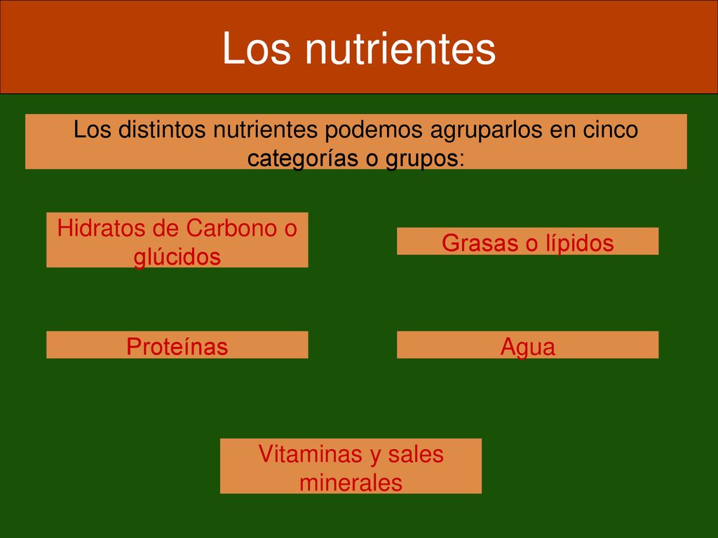 Los nutrientes Los distintos nutrientes podemos agruparlos en cinco categorías o grupos: Hidratos de Carbono o glúcidos.